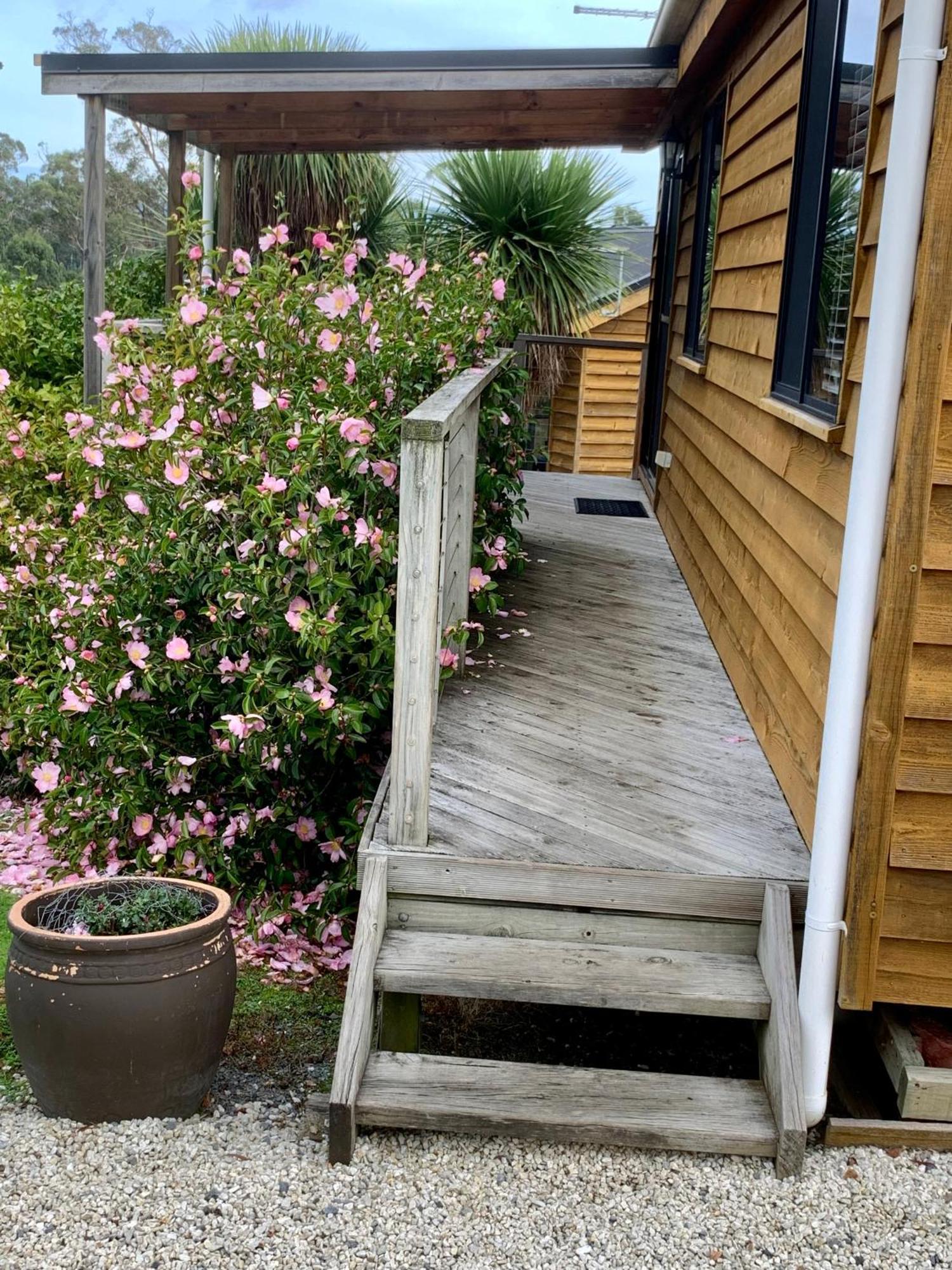 Hazelcreek Cottages Exeter Exterior foto